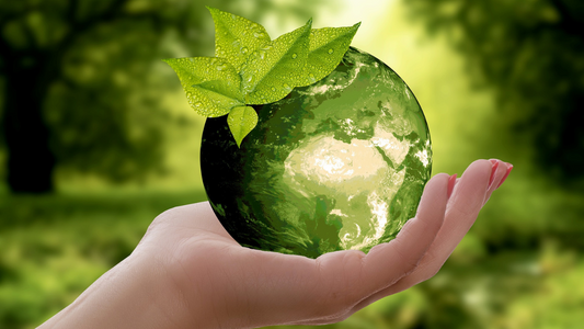 Regenerative Organic Agriculture